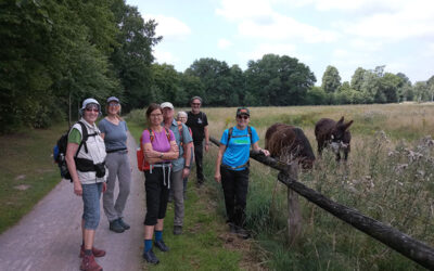 Rundwanderung durch die Coesfelder Heide