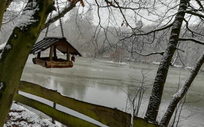 Wanderung im Februar fällt wegen Corona aus